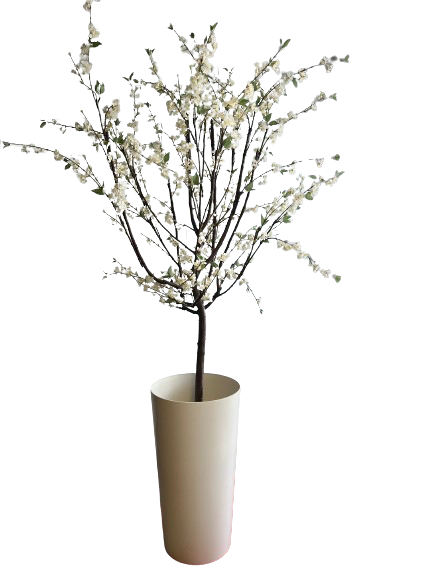 kirsipuu, valge.png (238 KB)